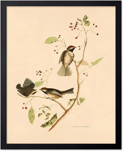 Miniatura 70 de Poster Master Póster Vintage de Plantas Cultivadas - Impresión Botánica Retro - Arte de Flores - Arte de Plantas - Regalo para Hombres y Mujeres