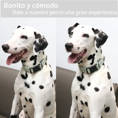 Miniatura 4 de Aring Pet Collar de algodón, ligero y ajustable, con hebilla de liberación rápida para perros pequeños, medianos y grandes, para cachorros, S