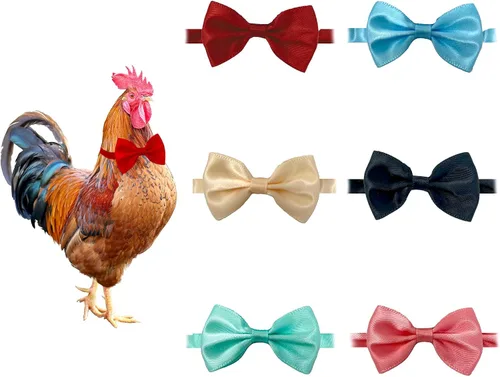 6 pajaritas de pollo, sombreros de pollo, collares de gallo, para hámster, loro, pájaro y animales pequeños