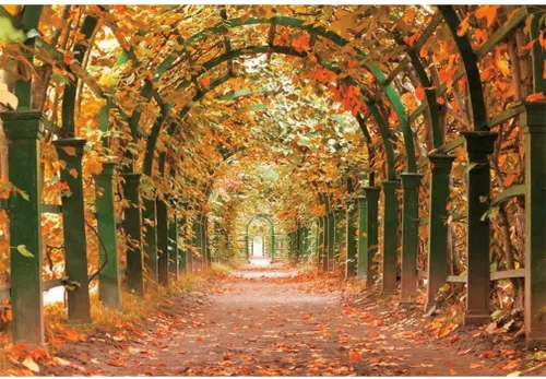 shensu Telones de fondo de hoja de arce para fotografía, vinilo de 5 x 3 pies, túnel de jardín, hojas caídas de otoño, fondo de fotografía, para