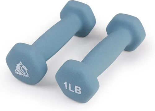 LIONSCOOL Juego de 2 mancuernas con revestimiento de neopreno, mancuernas hexagonales antideslizantes y que no se ruedan en par para entrenamiento