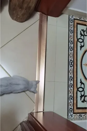 Tiras de suelo entre habitaciones, rampas de transición de umbral extra anchas de 4 pulgadas y 3.9 in para puertas, reductor autoadhesivo/borde para