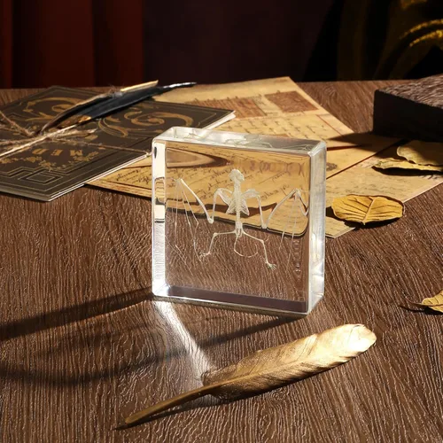 Miniatura 3 de Espécimen de esqueleto de murciélago real en resina para educación científica en el aula, gran regalo para fanáticos de la taxidermia, cráneo