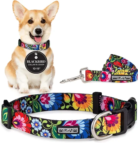 Miniatura 26 de Lucky Love Dog - Collar para perras pequeñas, diseño Blackbird de estampado alegre con flores de primavera y verano, talla XS