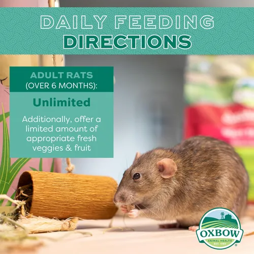 Miniatura 4 de Oxbow Essentials Alimento para Ratas, Alimento para Mascotas para Ratas Adultas, Fórmula Completamente Natural Rica en Vitaminas y Minerales