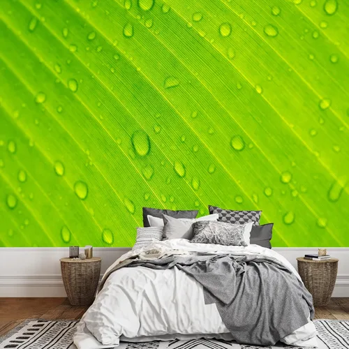 Miniatura 34 de wall26 serie Wall Mural Papel de empapelar autoadhesivo, grande., WMR-WP-X-D986-66x24x4