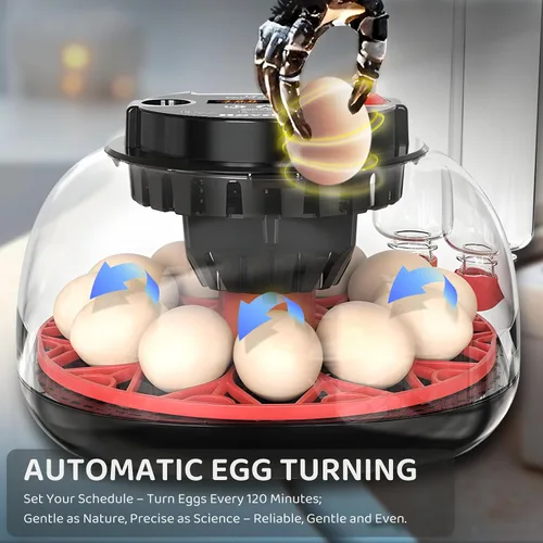 Miniatura 5 de Incubadora de 12 huevos para incubar huevos con giro de huevos completamente automático, control de humedad por botellas, incubadoras para pollo