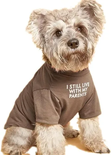Miniatura 8 de Linda ropa para perros, camiseta para perros medianos y pequeños, hembra y macho, cachorro. Disfraz suave y transpirable para mascotas, perros