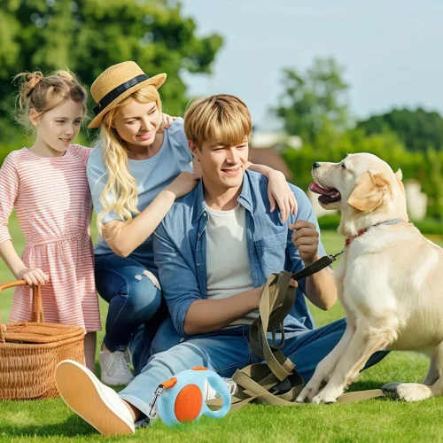 Miniatura 2 de Correa retráctil para perros pequeños y medianos con agarre suave antideslizante, sin enredos de 360°, cinta de nailon fuerte de 10 pies, freno