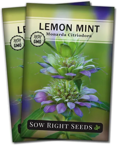 Miniatura 7 de Sow Right Seeds - Semilla de limón y menta para plantar - Heirloom sin OMG con paquete con instrucciones para plantar y cultivar un jardín de té