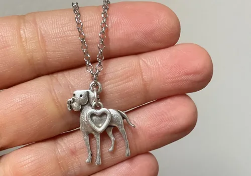 Miniatura 59 de Collar de raza de perro Grupo A