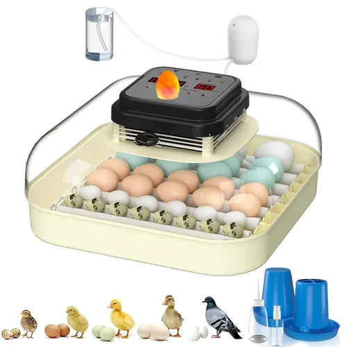 CoInceptus 35 incubadoras de huevos para incubar huevos, incubadora de huevos con giro automático de huevos y control de humedad, incubadora de