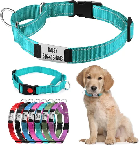 Collar de perro Martingala personalizado con hebilla de bloqueo, collares de perro Martingala de entrenamiento personalizados grabados con nombre y