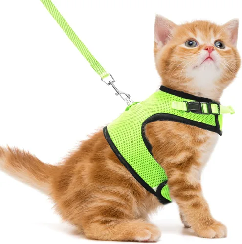 Miniatura 9 de PUPTECK Juego de arnés y correa de malla suave para gatos, arnés acolchado para mascotas, a prueba de escape, para gatos, perros pequeños, conejos