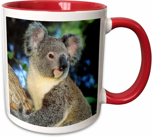 Miniatura 8 de 3dRose Oso de koala, Australia, árbol de eucalipto - SA01 KSC0000 - Kevin Schafer - Taza negra de dos tonos de 11 oz