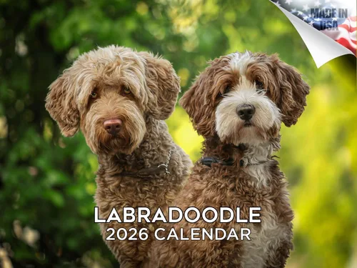 Miniatura 158 de Calendario 2025 2026 de cachorros Cocker Spaniel - Calendario mensual de pared de raza de perro - 12" x 24" abierto - Papel grueso sin sangrado