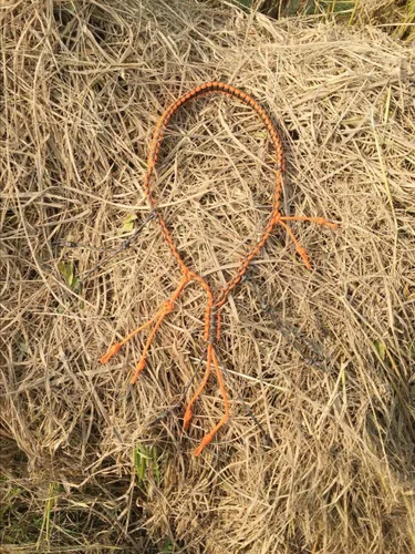 Miniatura 4 de PSKOOK Cordón para llamador de patos Paracord para caza de gansos 12/16/20 Bandas ajustables Accesorio para depredadores al aire libre para faisanes