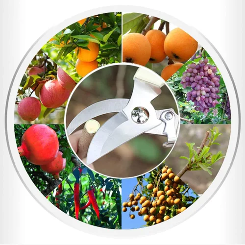 Miniatura 6 de Leize - Juego de tijeras para flores, paquete de 2 unidades, tijeras florales de acero inoxidable premium y engrosadas, podadora fuerte para flores