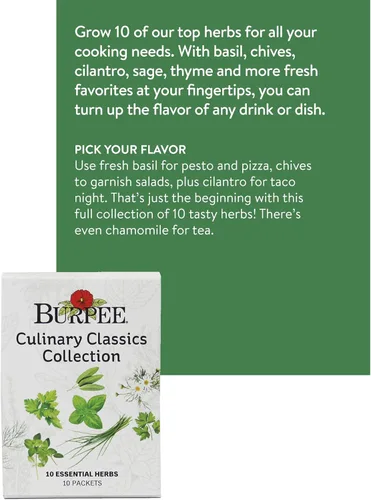 Miniatura 2 de Burpee Culinary Classics Garden Collection - 10 paquetes de cebollino sin OGM, cilantro, albahaca, salvia, tomillo, eneldo, perejil, manzanilla