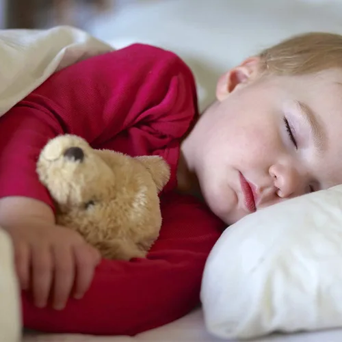 Miniatura 2 de NTBAY - Fundas de almohada de algodón egipcio para niños pequeños - Juego de 2 - Fundas de almohada de viaje - Fundas de 13x18 pulgadas de algodón