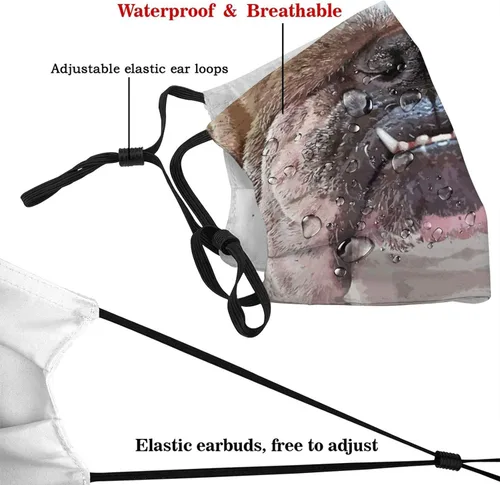 Miniatura 4 de goincrond Divertida máscara facial de animales lavable de tela transpirable reutilizable con filtros para adultos mujeres hombres y jóvenes