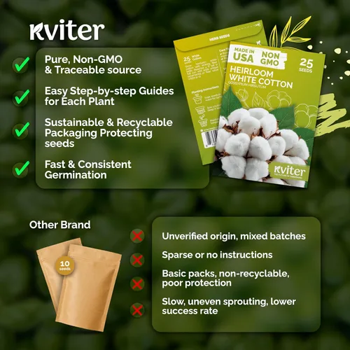 Miniatura 5 de KVITER 25 semillas de algodón blanco para plantar (Gossypium hirsutum) – Planta de algodón real, semillas de algodón para cultivo, semillas