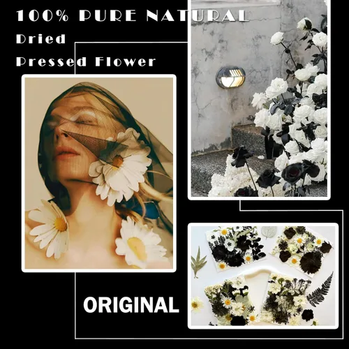 Miniatura 2 de MIKIYA 90 piezas de flores secas prensadas negras para moldes de resina, hojas florales secas a granel naturales reales para manualidades de arte