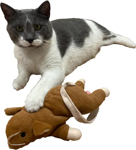 Miniatura 12 de SPOT Ratón Plano Frankie con Hierba Gatera - Juguetes para Gatos, Ratones de Peluche con Hierba Gatera y Sonido de Crujido, Tamaño Perfecto