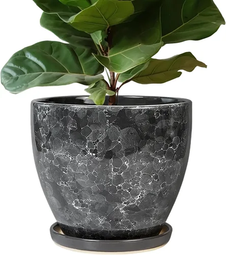 Miniatura 14 de Maceta para Plantas de 6.8 Pulgadas - Maceta de Cerámica con Orificio de Drenaje y Platillo, Maceta Redonda Moderna para Flores, Macetas
