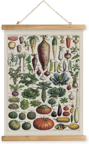 Miniatura 26 de XIAOAIKA Póster Educativo de Vida Silvestre de Seto Británico - Cuadro Ilustrado de la Naturaleza con Marco de Madera - Arte de Pared de Animales