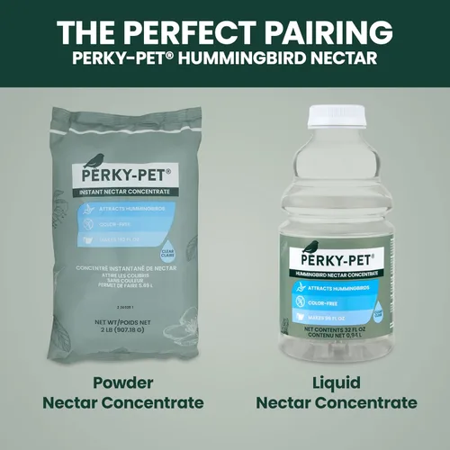 Miniatura 12 de Perky-Pet Comedero para colibríes de vidrio con relleno superior de cactus con protectores de abeja integrados y perchas extraíbles, capacidad