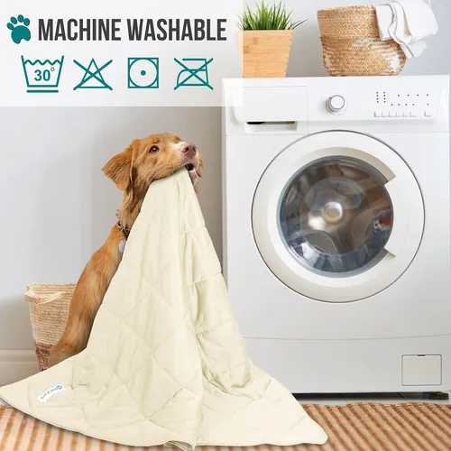 Miniatura 5 de PetAmi Manta Refrigerante Premium para Perros Manta Ligera y Esponjosa para Mascotas, Funda de Cama para Perros, Gatos y Cachorros Manta