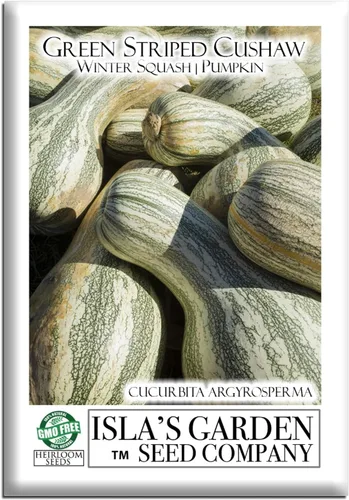 Semillas de calabaza Cushaw a rayas verdes (Cucurbita argyrosperma) – 25 semillas tradicionales sin OMG de Isla's Garden Seeds, también conocida