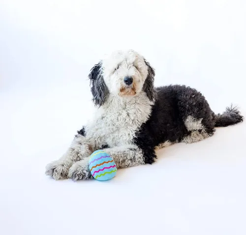 Miniatura 5 de Midlee Juguete de peluche para perro de huevo de Pascua, azul (grande)