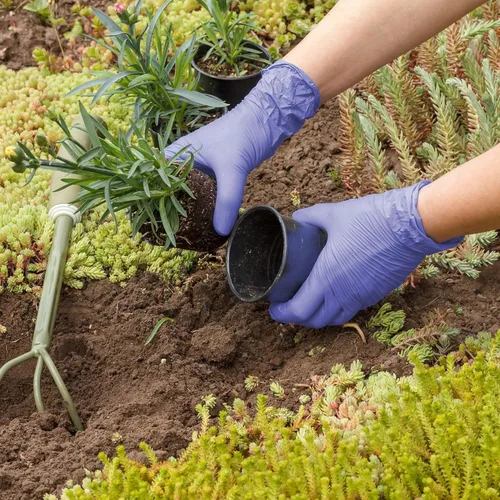 Miniatura 7 de FifthPulse Guantes de nitrilo desechables biodegradables, 150 unidades, guantes de cocina ecológicos seguros para alimentos, guantes sin polvo