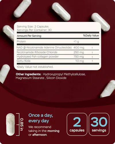 Miniatura 9 de 4Well Products Resveratrol, 90 Cápsulas + Suplemento NAD Plus, 60 Cápsulas