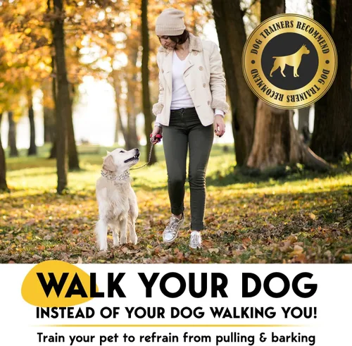 Miniatura 2 de PetJett - Collar de Púas para Perros, Collar de Estrangulamiento para Perros, Collar de Pellizco Ajustable Sin Tirones, Collar de Entrenamiento