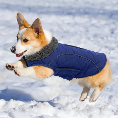 Miniatura 6 de EMUST Chamarras para perros, talla pequeña/mediana/grande, abrigo de invierno para perros grandes, azul oscuro, XL