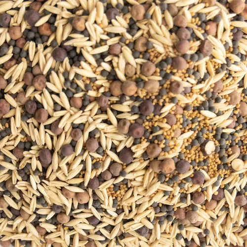 Cover Crop Seed Mix Organic - Mezcla de cultivos de cobertura apta para polinizadores y abejas, 25 libras a granel ~ 170,000 semillas, mezcla de