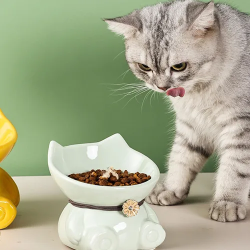 Miniatura 2 de Disoza Cuencos elevados de cerámica para gatos de interior de 5.8 pulgadas, lindos cuencos elevados de comida verdes inclinados de 15°, aptos