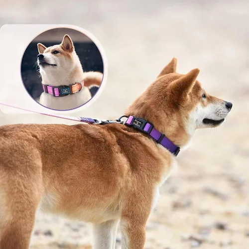 Miniatura 5 de Roses&Poetry Juego de collar y correa reflectante para perro, collar y correa de perro martingala morado para perros medianos, collares ajustables