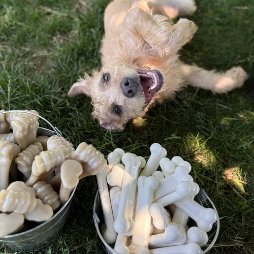 Miniatura 6 de Nylabone Original Bone Power Chew Toy para perros, juguetes duraderos y resistentes para masticadores agresivos, sabor a pollo, mediano - hasta 35