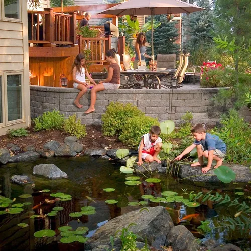 Miniatura 6 de Aquascape Tratamiento de agua transparente para estanques de koi y peces, mezcla de clarificadores para limpiar el agua turbia o descolorida