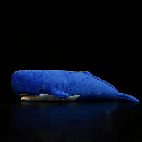Miniatura 7 de Juguete de peluche realista de ballena espermática – Juguetes de peluche de ballena espermatozoides largos y realistas, súper suaves, muñecos