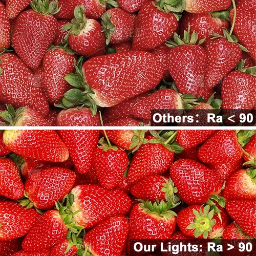 Miniatura 3 de VST Tira de luces LED COB de 16.4 pies CCT 2700K-6500K con certificación UL, luz LED regulable de 24 V CRI 93, 2400 LED súper brillante cinta