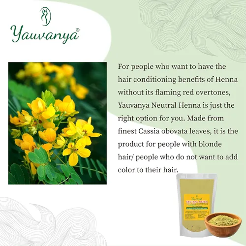 Miniatura 2 de Polvo de henna neutra (Cassia Obovata) 100% puro para cabello rubio/dorado Henna incolora Acondicionador natural para cabello suave, sedoso