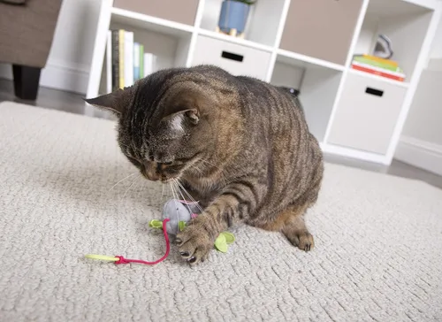 Miniatura 9 de SmartyKat Juguetes de peluche para gatos con forma de ratón hinchable, 3 unidades, multicolor, 3