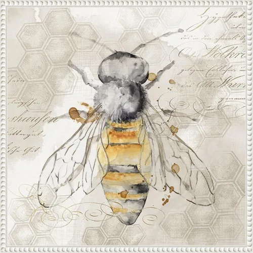 Miniatura 20 de Amanti Art Lienzo enmarcado para pared, 16 x 16 pulgadas, abeja reina II por Eva Watts, lienzo enmarcado para pared, obras de arte de animales