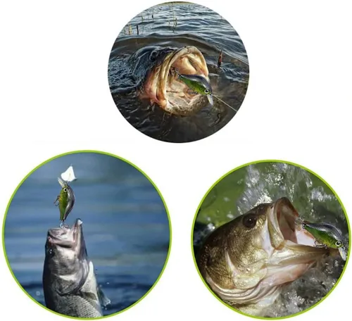 Miniatura 6 de Kit de señuelos de pesca de agua dulce, aparejos de pesca. Caja de aparejos que incluye cebos tipo crankbait, señuelos de superficie, jigs, cucharas