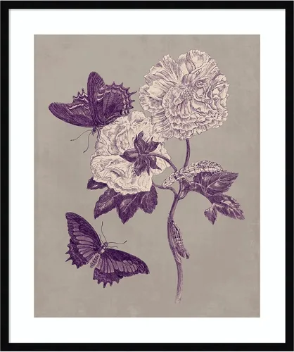 Miniatura 19 de Amanti Art Lienzo decorativo para pared, 24 x 20 pulgadas, estudio de la naturaleza en ciruela y gris pardo IV por Maria Merian, arte de pared
